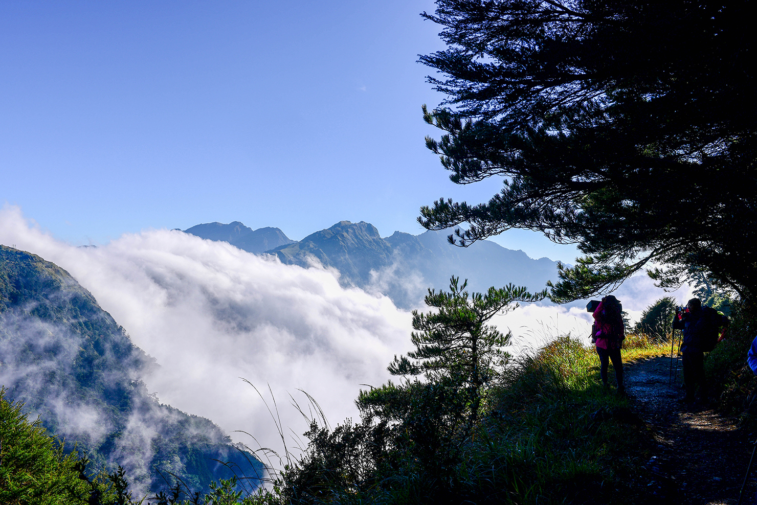 雪山接駁  南湖大山接駁  宜蘭旅遊  台北登山接駁車  奇萊南華登山接駁車  霞喀羅古道登山接駁
加羅湖登山接駁車  嘉明湖登山接駁車  玉山登山接駁車  松蘿湖登山接駁車  加里山登山接駁車
鳶嘴稍來登山接駁車  九份旅遊包車  花東旅遊包車  日月潭包車  清境包車